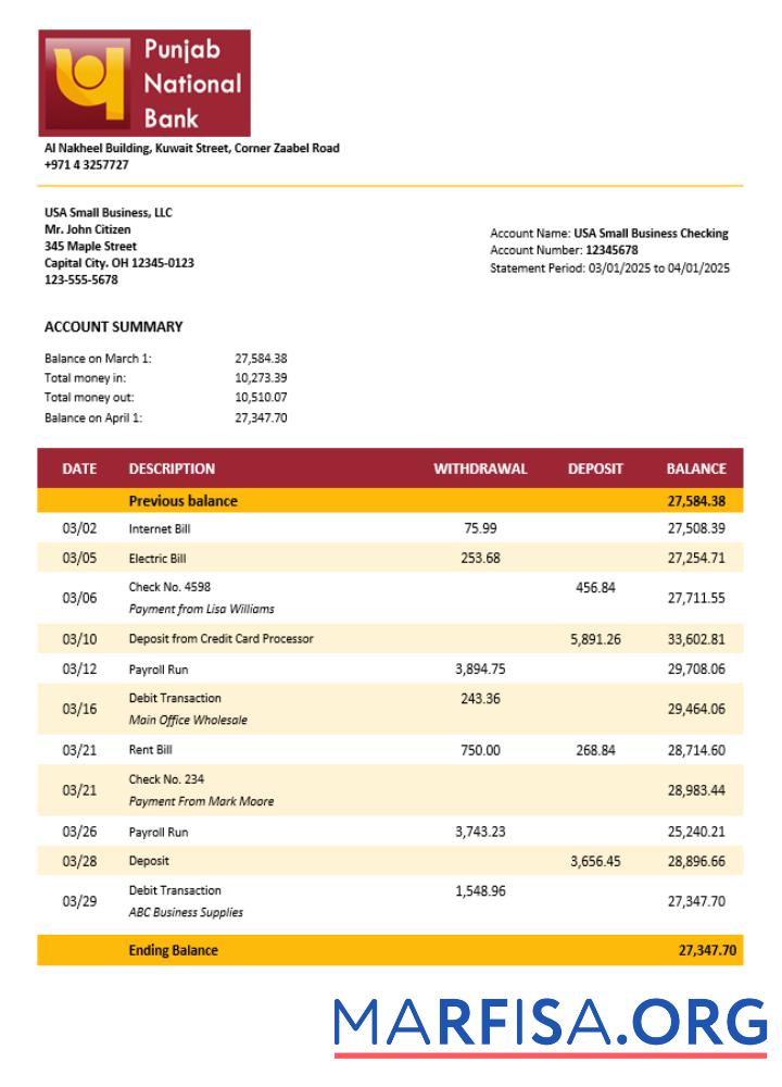 Downloadable UAE Dubai PNB enterprise statement Word and PDF template